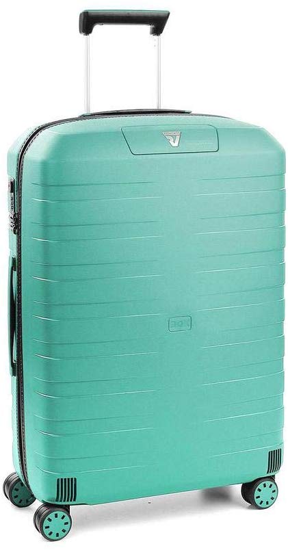 Roncato Luggage Review 
