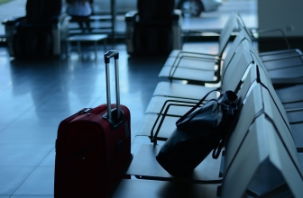 10 Best Rolling Garment Bag